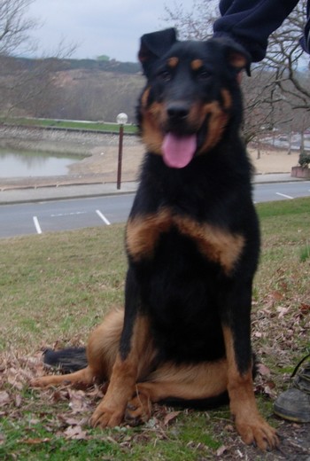 Ares du Domaine des Gardiens de la Vallée