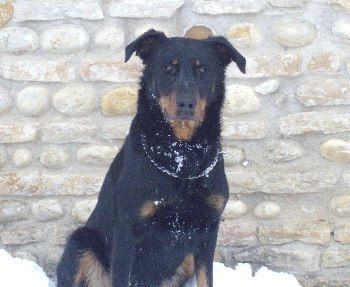 Darshan du Domaine des Gardiens de la Vallée